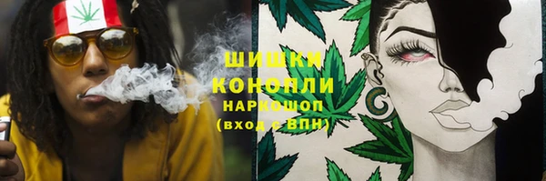 сатива Зеленодольск