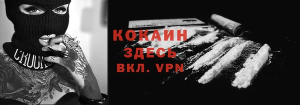 сатива Зеленодольск