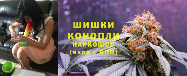 гашик Зерноград