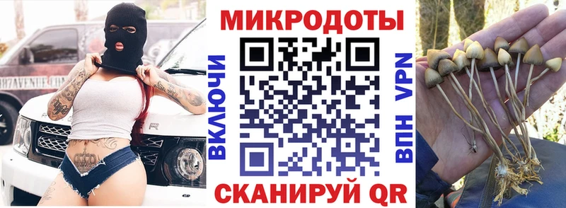 Галлюциногенные грибы Psilocybine cubensis  Купить закладки  Ейск 